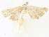  ( - CBG-A36780-A11)  @11 [ ] CreativeCommons - Attribution Share - Alike (2024) CBG Photography Group Centre for Biodiversity Genomics