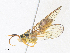  ( - CBG-A36780-E12)  @11 [ ] CreativeCommons - Attribution Share - Alike (2024) CBG Photography Group Centre for Biodiversity Genomics