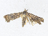  ( - CBG-A36780-F12)  @11 [ ] CreativeCommons - Attribution Share - Alike (2024) CBG Photography Group Centre for Biodiversity Genomics