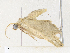  ( - CBG-A36782-F05)  @11 [ ] CreativeCommons - Attribution Share - Alike (2024) CBG Photography Group Centre for Biodiversity Genomics