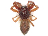  ( - CBG-A36783-H07)  @11 [ ] CreativeCommons - Attribution (2024) CBG Photography Group Centre for Biodiversity Genomics