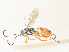  ( - CBG-A40074-H09)  @11 [ ] CreativeCommons - Attribution Share - Alike (2024) CBG Photography Group Centre for Biodiversity Genomics