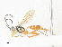  ( - CBG-A40075-A09)  @11 [ ] CreativeCommons - Attribution Share - Alike (2024) CBG Photography Group Centre for Biodiversity Genomics