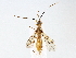  ( - BIOUG64411-E08)  @11 [ ] CreativeCommons - Attribution (2022) CBG Photography Group Centre for Biodiversity Genomics