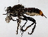  ( - BIOUG64411-F09)  @11 [ ] CreativeCommons - Attribution (2022) CBG Photography Group Centre for Biodiversity Genomics