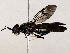  ( - BIOUG64411-H03)  @11 [ ] CreativeCommons - Attribution (2022) CBG Photography Group Centre for Biodiversity Genomics