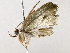  ( - BIOUG64411-H11)  @11 [ ] CreativeCommons - Attribution (2022) CBG Photography Group Centre for Biodiversity Genomics