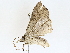  ( - BIOUG64412-A02)  @11 [ ] CreativeCommons - Attribution (2022) CBG Photography Group Centre for Biodiversity Genomics