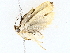  ( - BIOUG64412-C04)  @11 [ ] CreativeCommons - Attribution (2022) CBG Photography Group Centre for Biodiversity Genomics