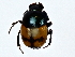  ( - BIOUG64414-A12)  @11 [ ] CreativeCommons - Attribution (2022) CBG Photography Group Centre for Biodiversity Genomics