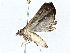  ( - BIOUG64414-C09)  @11 [ ] CreativeCommons - Attribution (2022) CBG Photography Group Centre for Biodiversity Genomics