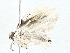  ( - BIOUG64414-D04)  @11 [ ] CreativeCommons - Attribution (2022) CBG Photography Group Centre for Biodiversity Genomics