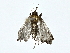  ( - BIOUG70303-G07)  @11 [ ] CreativeCommons - Attribution (2022) CBG Photography Group Centre for Biodiversity Genomics