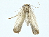  ( - BIOUG70304-A09)  @11 [ ] CreativeCommons - Attribution (2022) CBG Photography Group Centre for Biodiversity Genomics
