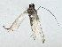 ( - BIOUG70304-H01)  @11 [ ] CreativeCommons - Attribution (2022) CBG Photography Group Centre for Biodiversity Genomics