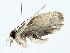  ( - BIOUG70305-C09)  @11 [ ] CreativeCommons - Attribution (2022) CBG Photography Group Centre for Biodiversity Genomics