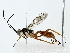  ( - BIOUG70305-F11)  @11 [ ] CreativeCommons - Attribution (2022) CBG Photography Group Centre for Biodiversity Genomics