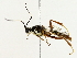  ( - BIOUG70306-D01)  @11 [ ] CreativeCommons - Attribution (2022) CBG Photography Group Centre for Biodiversity Genomics