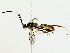  ( - BIOUG70306-D02)  @11 [ ] CreativeCommons - Attribution (2022) CBG Photography Group Centre for Biodiversity Genomics