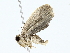  ( - BIOUG70306-E08)  @11 [ ] CreativeCommons - Attribution (2022) CBG Photography Group Centre for Biodiversity Genomics
