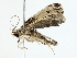  ( - BIOUG70306-F03)  @11 [ ] CreativeCommons - Attribution (2022) CBG Photography Group Centre for Biodiversity Genomics