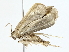  ( - BIOUG70306-F04)  @11 [ ] CreativeCommons - Attribution (2022) CBG Photography Group Centre for Biodiversity Genomics