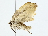  ( - BIOUG70306-F05)  @11 [ ] CreativeCommons - Attribution (2022) CBG Photography Group Centre for Biodiversity Genomics