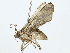  ( - BIOUG70306-F09)  @11 [ ] CreativeCommons - Attribution (2022) CBG Photography Group Centre for Biodiversity Genomics