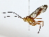  ( - BIOUG70307-G09)  @11 [ ] CreativeCommons - Attribution (2022) CBG Photography Group Centre for Biodiversity Genomics