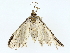  ( - BIOUG70308-A10)  @11 [ ] CreativeCommons - Attribution (2022) CBG Photography Group Centre for Biodiversity Genomics