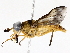  ( - BIOUG76509-E06)  @11 [ ] CreativeCommons - Attribution (2022) CBG Photography Group Centre for Biodiversity Genomics