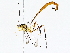  ( - BIOUG76510-A05)  @11 [ ] CreativeCommons - Attribution (2022) CBG Photography Group Centre for Biodiversity Genomics