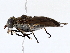  ( - BIOUG76510-A12)  @11 [ ] CreativeCommons - Attribution (2022) CBG Photography Group Centre for Biodiversity Genomics