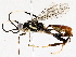  ( - BIOUG76510-E02)  @11 [ ] CreativeCommons - Attribution (2022) CBG Photography Group Centre for Biodiversity Genomics