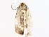  ( - BIOUG76510-F02)  @11 [ ] CreativeCommons - Attribution (2022) CBG Photography Group Centre for Biodiversity Genomics