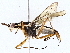  ( - BIOUG76511-C12)  @11 [ ] CreativeCommons - Attribution (2022) CBG Photography Group Centre for Biodiversity Genomics