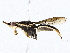  ( - BIOUG76511-F04)  @11 [ ] CreativeCommons - Attribution (2022) CBG Photography Group Centre for Biodiversity Genomics