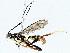  ( - BIOUG76512-A09)  @11 [ ] CreativeCommons - Attribution (2022) CBG Photography Group Centre for Biodiversity Genomics