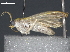  ( - BIOUG76512-B08)  @11 [ ] CreativeCommons - Attribution (2022) CBG Photography Group Centre for Biodiversity Genomics