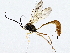  ( - BIOUG76512-F12)  @11 [ ] CreativeCommons - Attribution (2022) CBG Photography Group Centre for Biodiversity Genomics