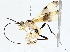  ( - BIOUG76513-A02)  @14 [ ] CreativeCommons - Attribution (2022) CBG Photography Group Centre for Biodiversity Genomics
