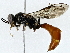  ( - BIOUG76514-B01)  @11 [ ] CreativeCommons - Attribution (2022) CBG Photography Group Centre for Biodiversity Genomics