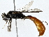  ( - BIOUG76514-B02)  @11 [ ] CreativeCommons - Attribution (2022) CBG Photography Group Centre for Biodiversity Genomics