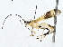  ( - BIOUG76515-B02)  @14 [ ] CreativeCommons - Attribution (2022) CBG Photography Group Centre for Biodiversity Genomics