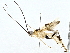  ( - BIOUG76515-B03)  @14 [ ] CreativeCommons - Attribution (2022) CBG Photography Group Centre for Biodiversity Genomics