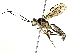  ( - BIOUG77725-E02)  @11 [ ] CreativeCommons - Attribution (2022) CBG Photography Group Centre for Biodiversity Genomics