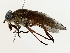  ( - BIOUG77726-C01)  @11 [ ] CreativeCommons - Attribution (2022) CBG Photography Group Centre for Biodiversity Genomics