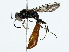  ( - BIOUG77726-G05)  @11 [ ] CreativeCommons - Attribution (2022) CBG Photography Group Centre for Biodiversity Genomics