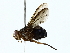  ( - BIOUG77727-A06)  @11 [ ] CreativeCommons - Attribution (2022) CBG Photography Group Centre for Biodiversity Genomics