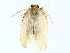 ( - BIOUG77727-B08)  @11 [ ] CreativeCommons - Attribution (2022) CBG Photography Group Centre for Biodiversity Genomics